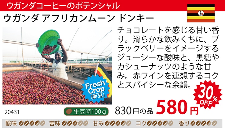 i摜FEK_AtJ[hL[