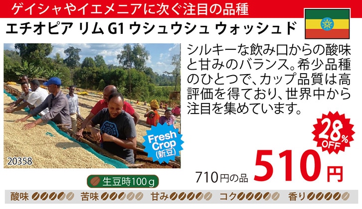 ���i�摜�F�G�`�I�s�A ����G1 �E�V���E�V�� �E�H�b�V���h