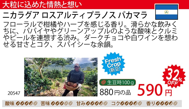 ���i�摜�F�j�J���O�A���X�A���e�B�v���m�X�p�J�}��