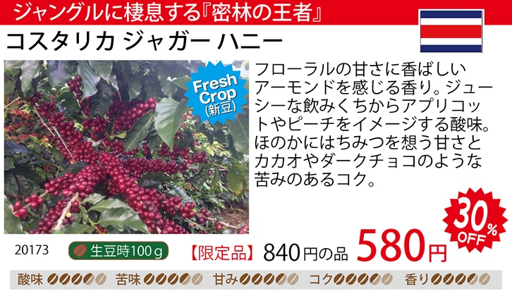 ���i�摜�F�R�X�^���J�W���K�[�n�j�[