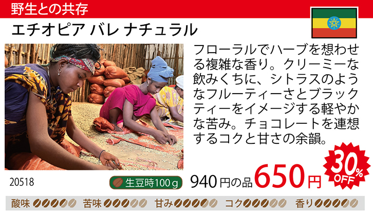 ���i�摜�F�G�`�I�s�A�o���i�`������