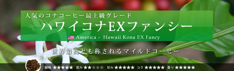 ハワイコナEXファンシー: コーヒー | コーヒー通販サイト 珈琲