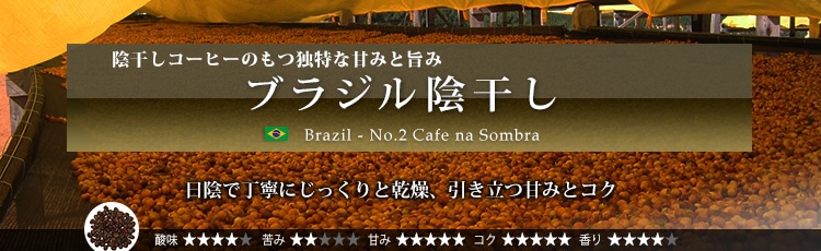 ブラジル陰干し（ソンブラ） - Brazil Bourbon Amarelo Kageboshi