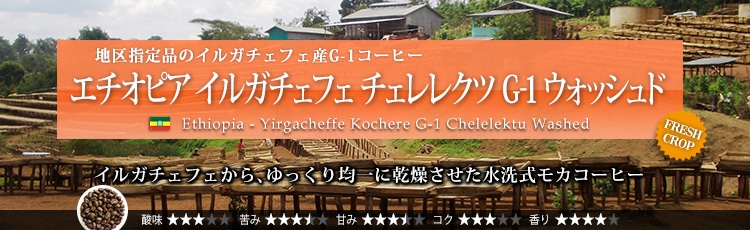 エチオピア イルガチェフェ チェレレクツ G-1 ウォッシュド - Ethiopia Yirgacheffe Kochere G-1 Chelelektu Washed