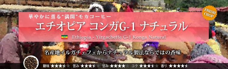 エチオピア コンガG-1 ナチュラル