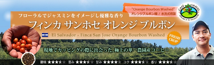 エルサルバドル フィンカ サンホセ オレンジ ブルボン - El Salvador Finca San Jose Orange Bourbon Washed