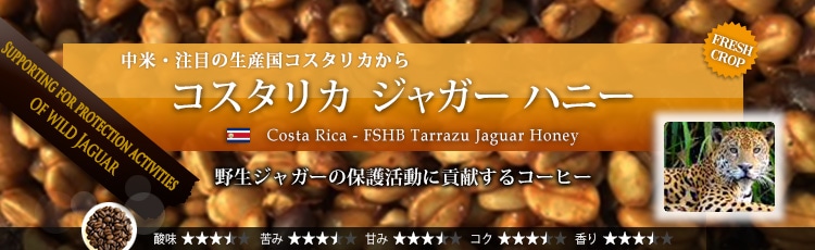 限定品 コスタリカ ジャガー ハニー 特別なコーヒー コーヒー通販サイト 珈琲問屋オンラインストア 限定品 コスタリカ ジャガー ハニー 特別なコーヒー コーヒー通販サイト 珈琲問屋オンラインストア