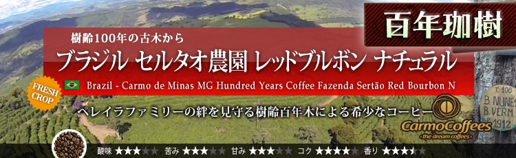 ブラジル 百年珈樹 セルタオ農園 レッドブルボン ナチュラル - Brazil Carmo de Minas MG Hundred Years Coffee Fazenda Serto Red Bourbon Natural
