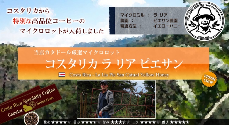コスタリカ ラ リア ピエサン - Costa Rica La Lia Pie San Catuai Yellow Honey