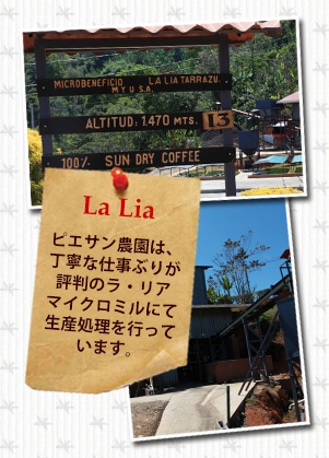 コスタリカ ラ リア ピエサンについて