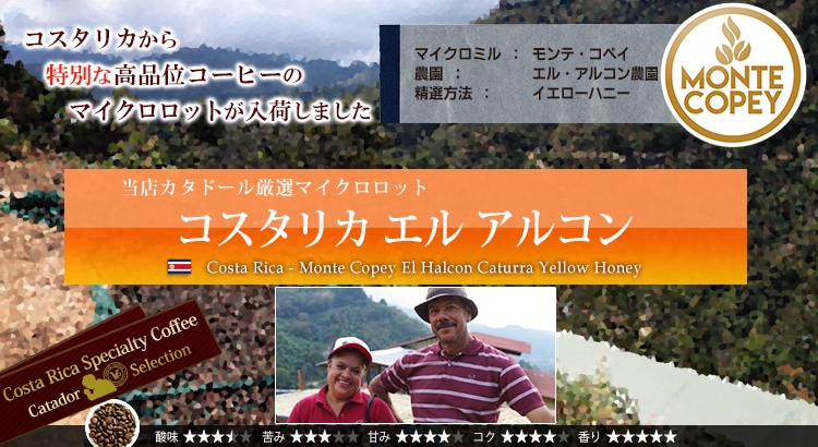 コスタリカ エル アルコン - Costa Rica Monte Copey El Halcon Caturra Yellow Honey