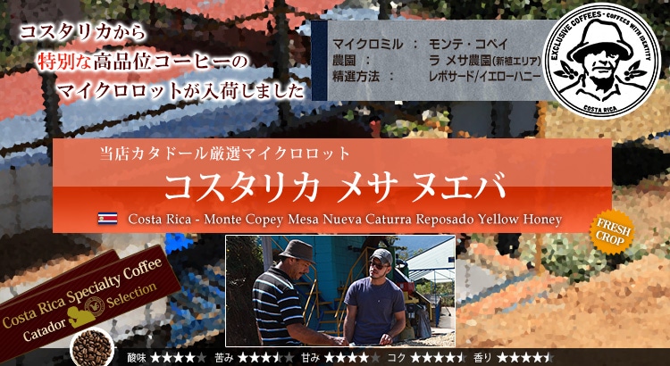 コスタリカ メサ ヌエバ - Costa Rica Monte Copey Mesa Nueva Caturra Reposado Yellow Honey