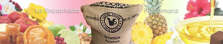 エルサルバドル ラ エンカンターダ パカマラのカッピングイメージ