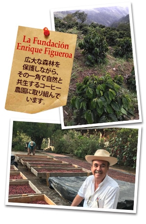 エルサルバドル ラ エンカンターダ パカマラについて