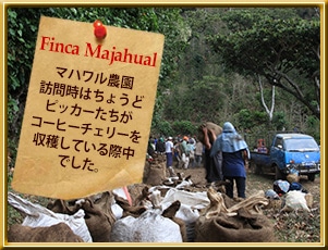 エルサルバドル エル マハワル農園イメージ