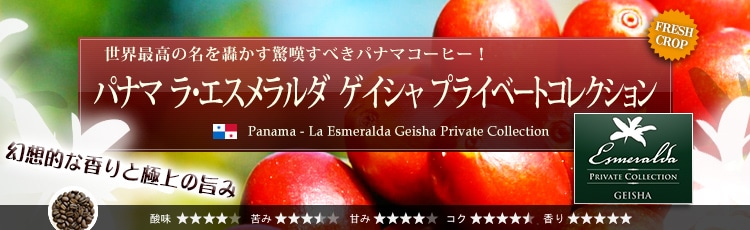 パナマ ラ・エスメラルダ ゲイシャ プライベートコレクション - Panama La Esmeralda Geisha Private Collection Washed