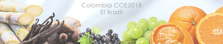 コロンビア COE2018 エル ブラジルのカッピングイメージ