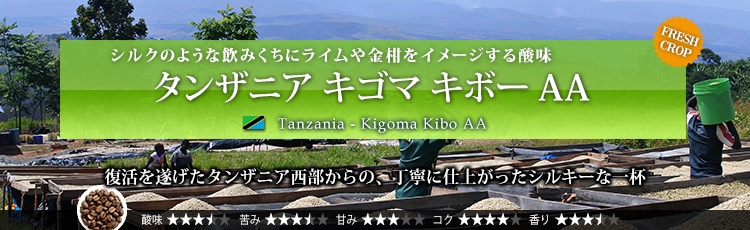 タンザニア キゴマ キボー AA - Tanzania Kigoma Kibo AA