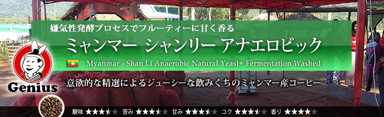 ミャンマー シャンリー アナエロビック - Myanmar Shan Li Anaerobic Natural Yeast+ Fermentation Washed