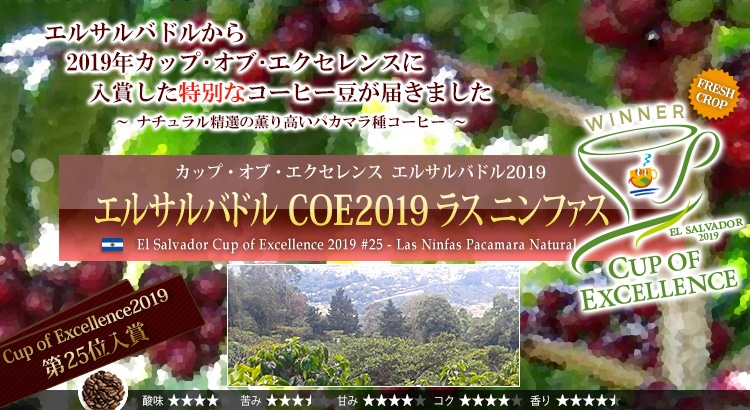 エルサルバドル COE2019 ラス ニンファス - El Salvador Cup of Excellence 2019 #25 - Las Ninfas Pacamara Natural