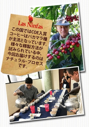 エルサルバドル COE2019 ラス ニンファスについて