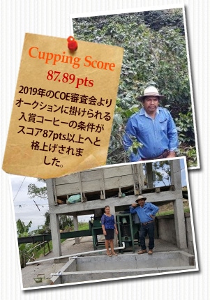 ホンジュラス COE2019 エル ローブルについて