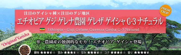エチオピア グジ ゲレナ農園 ゲレザ ゲイシャ G-3 ナチュラル - Ethiopia Guji Gelane Guereza Gesha G-3 Natural