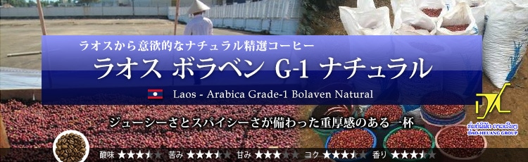 ラオス ボラベン G-1 ナチュラル - Laos Arabica Grade-1 Bolaven Natural