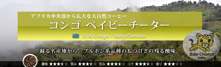 コンゴ ベイビーチーター - Congo Baby Cheetah