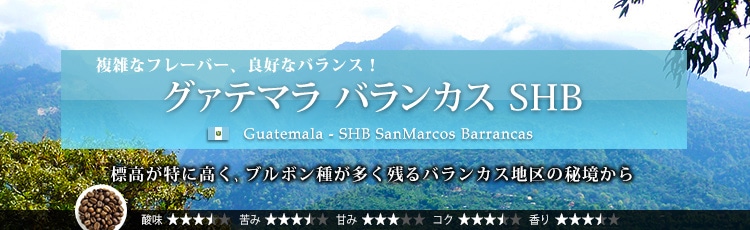 グァテマラ バランカス SHB - Guatemala SHB SanMarcos Barrancas