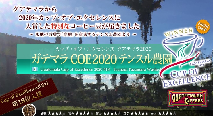 ガテマラ COE2020 テンスル農園 - Guatemala Cup of Excellence 2020 #18 Teanzul Pacamara Washed