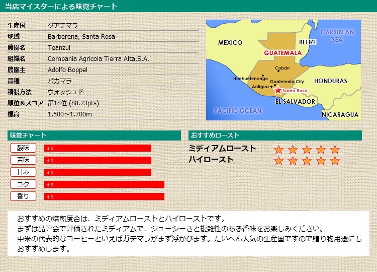 当店マイスターによる味覚チャート ガテマラ COE2020 テンスル農園