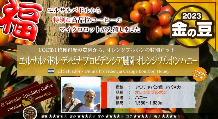 エルサルバドル ディビナ プロビデンシア農園 オレンジブルボン - El salvador Divina Providencia Orange Bourbon Honey