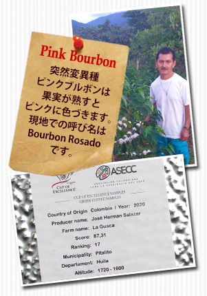 コロンビア COE2020 ラ グアカ ピンクブルボンについて
