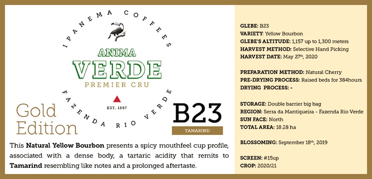 B23 Tamarind ロット情報