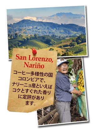 コロンビア ナリーニョ サン ロレンソについて