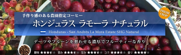 ホンジュラス ラモーラ ナチュラル - Honduras San Andres La Mora Estate SHG Natural