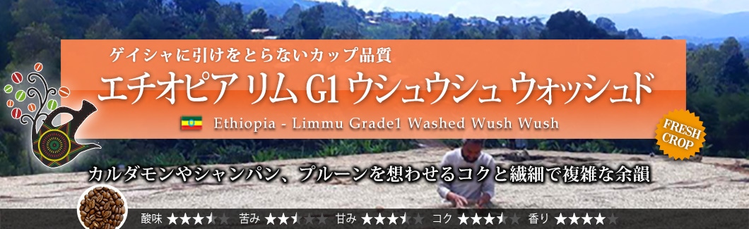 G`IsA  G1 EVEV EHbVh - Ethiopia Limmu Grade1 Washed Wush Wush