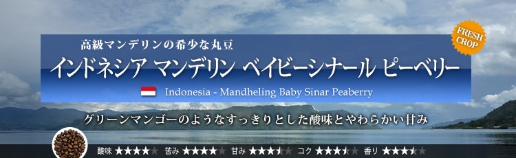 インドネシア マンデリン ベイビーシナール ピーベリー - Indonesia Mandheling Baby Sinar Peaberry