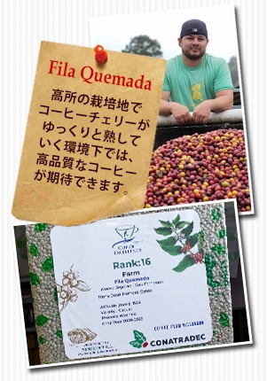 ニカラグア COE2021 フィーラ ケマーダ農園について