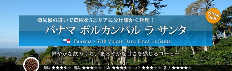 パナマ ボルカンバル ラ サンタ - Panama SHB Volcan Baru Finca La Santa