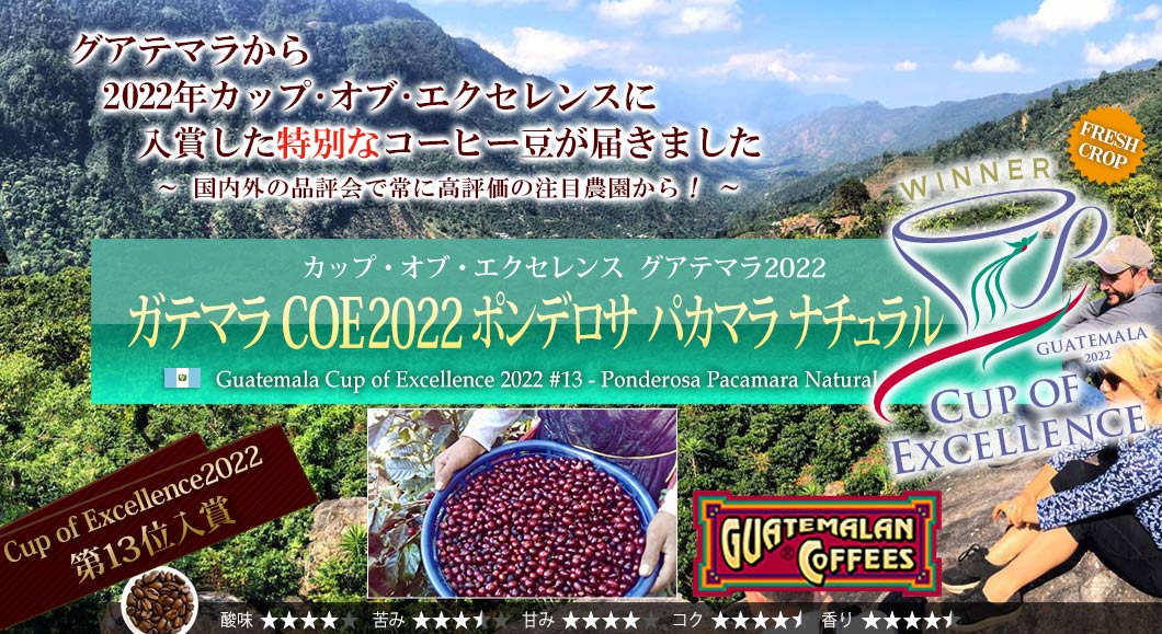 OAe} COE2022 #17  - Guatemala Cup of Excellence 2022 #13 Ponderosa Pacamara Natural