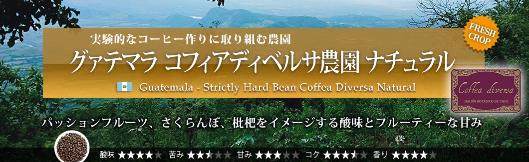 O@e} RtBAfBxT_ i` - Guatemala Strictly Hard Bean Coffea Diversa Natural