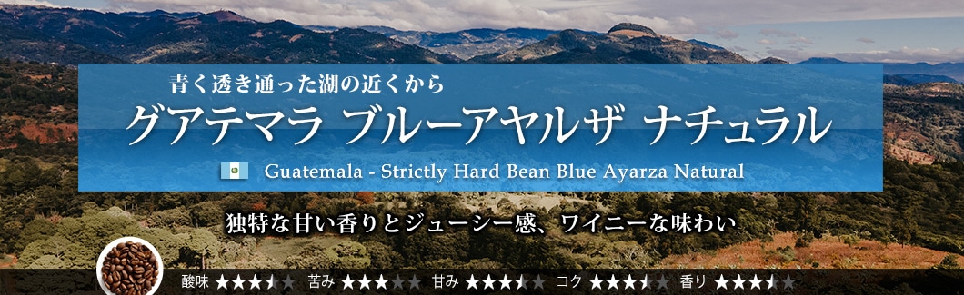 O@e} u[AU i` - Guatemala Strictly Hard Been Blue Ayarza Natural