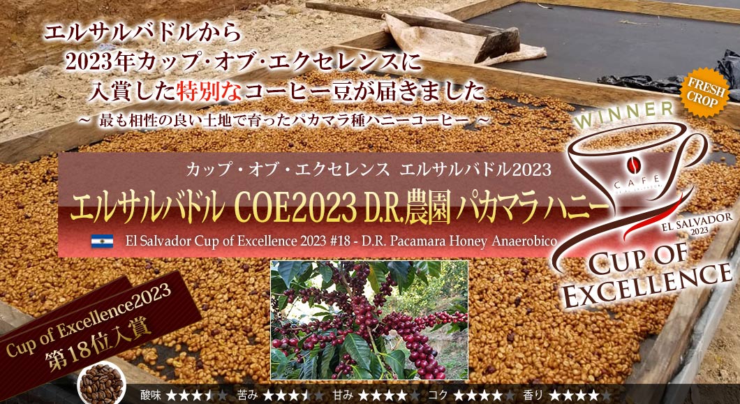 GToh COE2023 #18 D.R._ pJ} nj[ - El Salvador Cup of Excellence 2023 #18 D.R. Pacamara Honey Anaerobico