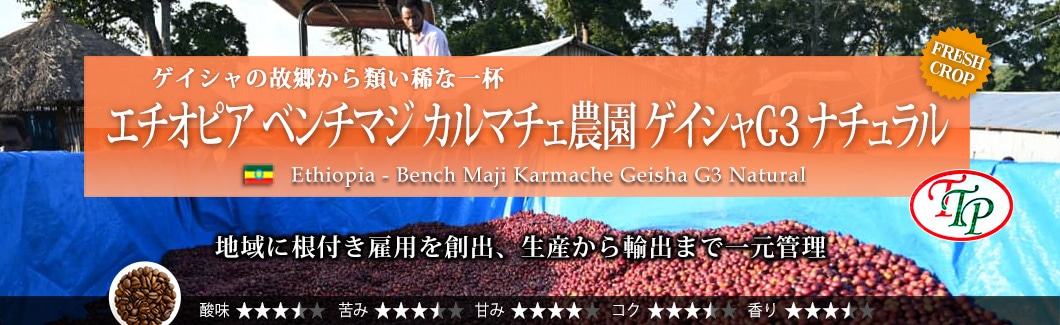 G`IsA x`}W J}`F_ QCVG3 i` - Ethiopia Bench Maji Karmache Geisha G3 Natural
