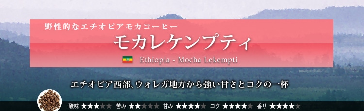 モカレケンプティ - Ethiopia Mocha Lekempti