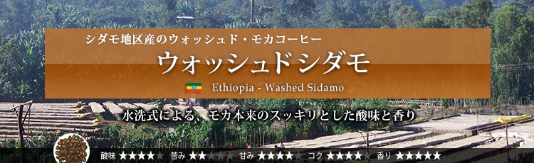 EHbVhV_ - Ethiopia Washed Sidamo