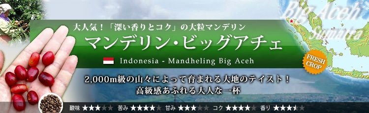 マンデリン ビッグアチェ