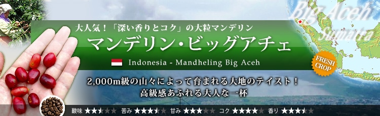 マンデリン ビッグアチェ